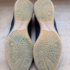 ティゴラ　室内シューズ　フットサルシューズの画像
