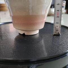 萩焼湯呑み4個セット　ピンクグラデーションの画像