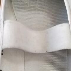 上靴23.5cmの画像