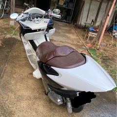 フォルツァ　mf10の画像