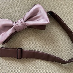 美品/蝶ネクタイ/結婚式/パーティーの画像