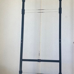 エサキオリジナル【姿勢分析器 体重計式】