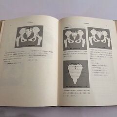 パーマー系　カイロプラクティックの画像
