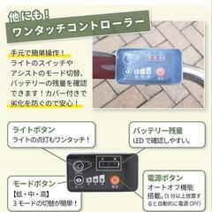 電動三輪自転車