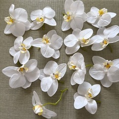 胡蝶蘭 /造花 /髪飾り、ヘッドドレス /装飾に