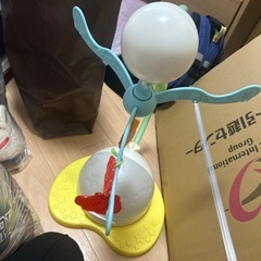 メリー