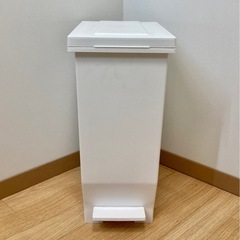 ニトリ　ペダルペール　ホワイトの画像