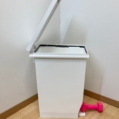 ニトリ　ペダルペール　ホワイトの画像