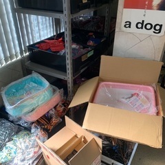 ペット用品色々100〜500円の画像