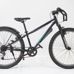 DRIDE シティサイクル 年式不明 26インチ