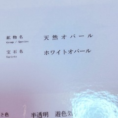 天然石 オパール  ネックレスの画像