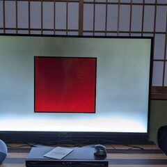 液晶テレビ SHARP 4T-C50AJ1 ジャンク