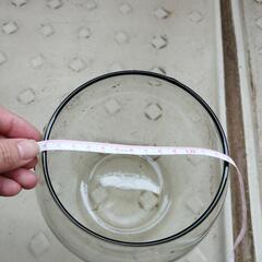 ガラス金魚鉢　　水槽の画像