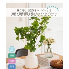 フェイクグリーン  ドウダンツツジの画像