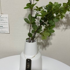 フェイクグリーン  ドウダンツツジ