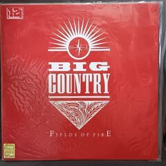 (中古LPレコード)FIELDS OF FIRE‐BIG COU...