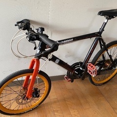 DOPPELGANGER 510 GRANUM 20-24インチ...