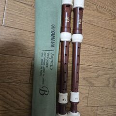 小学校用品ピアニカ&リコーダー差し上げます！の画像
