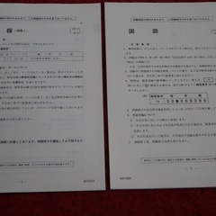 ２０２５年度版　大学入学共通テスト　駿台オリジナル新作予想問題　ズバリ予想　青パック　実戦パッケージ問題の画像