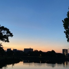 ★6月21日(土)★【熊本市江津湖】-夏至-日の出ヨガの画像