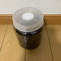 活き餌として栽培していたトビムシ