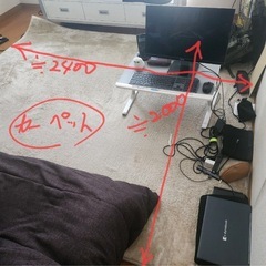 無料　カーペット　240×200cm