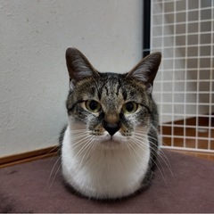 2歳半年のるるちゃん