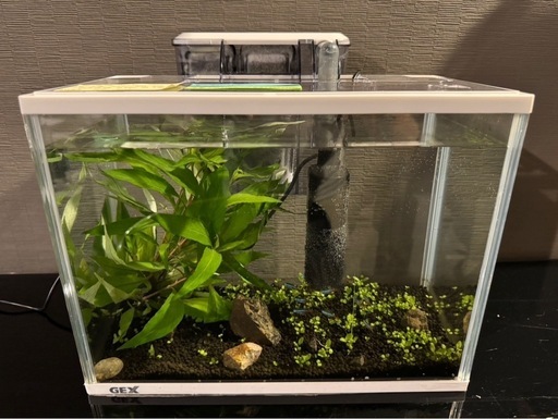 アクアリウムセット