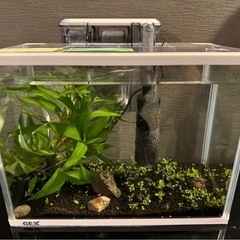 アクアリウムセット