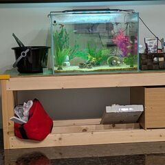 水槽、水槽台、熱帯魚セット