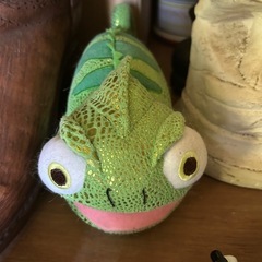 トカゲ？っぽいぬいぐるみ🦎