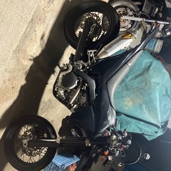 WR250