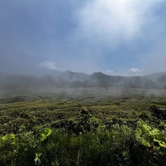 朝取れ竹の子　タケノコ　皮付きのため格安