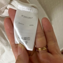 カットソーの画像