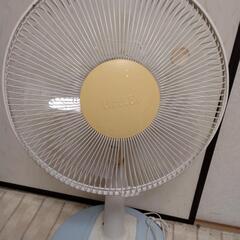 【取りに来れる方限定】扇風機の画像