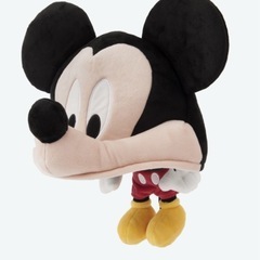 ファンキャップの中古が安い！激安で譲ります・無料であげます
