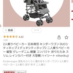 二人乗りベビーカー(受渡し予定者決定)の画像