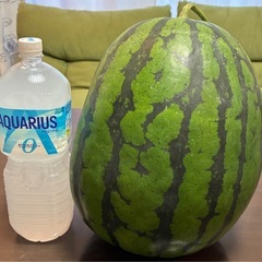 大栄スイカ4000円