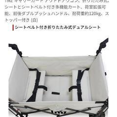 キャリーワゴン、座席つき