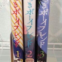【値下げ】マンガ　嘘つきボーイフレンド　1−3の画像