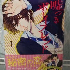 【値下げ】マンガ　嘘つきボーイフレンド　1−3の画像