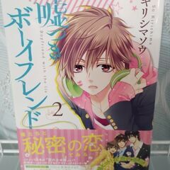 【値下げ】マンガ　嘘つきボーイフレンド　1−3の画像