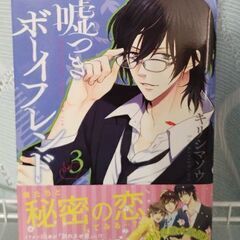 【値下げ】マンガ　嘘つきボーイフレンド　1−3の画像