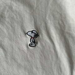 レディース　Tシャツの画像