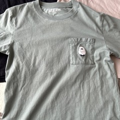 レディース　Tシャツの画像