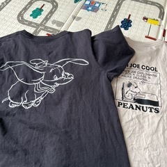 レディース　Tシャツの画像