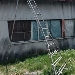 3脚 12尺 庭木剪定