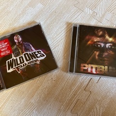 〇Florida  〇Pitbull CD ヴィンテージの画像