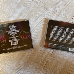 〇Florida  〇Pitbull CD ヴィンテージの画像