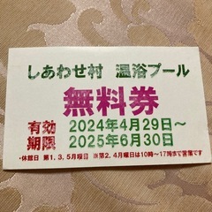 愛知県　東海市　しあわせ村　プール無料券1枚